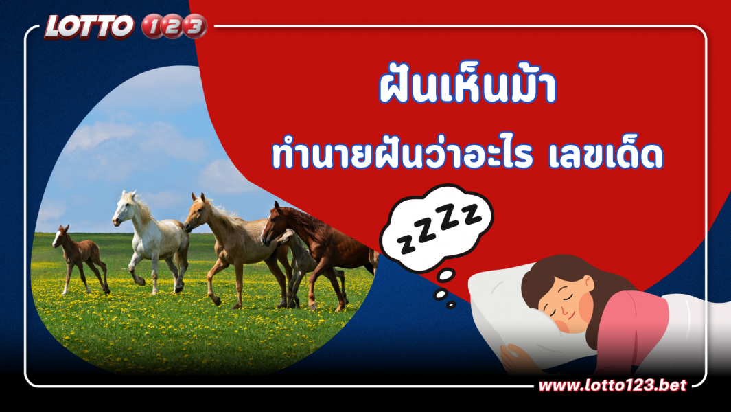 คำทำนาย “ฝันเห็นม้า” มีความหมายว่าอย่างไร พร้อม “เลขเด็ด” จากความฝัน