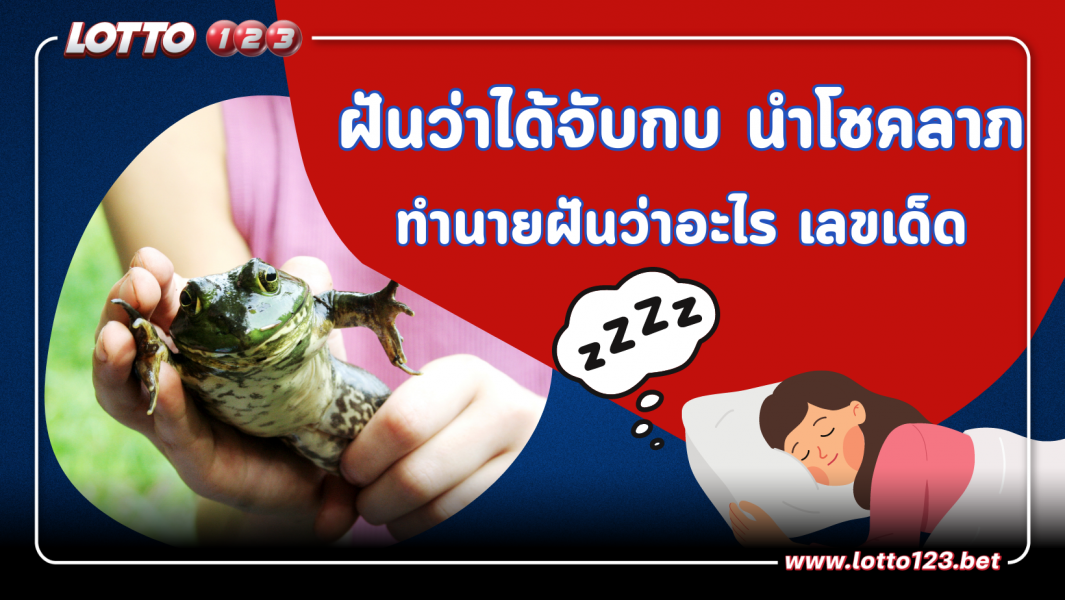 ฝันว่าได้จับกบ พร้อมเลขเด็ดงวดนี้ กบจะนำโชคลาภมาให้จริงไหม ?