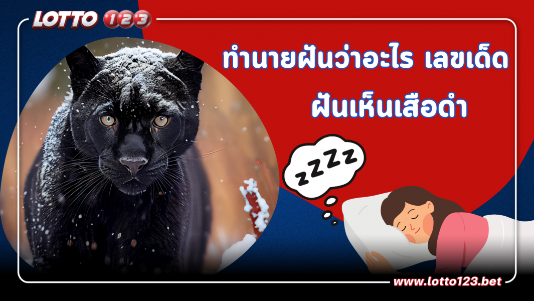 “ฝันเห็นเสือดำ” คำทำนายความฝันพร้อม “เลขเด็ด”