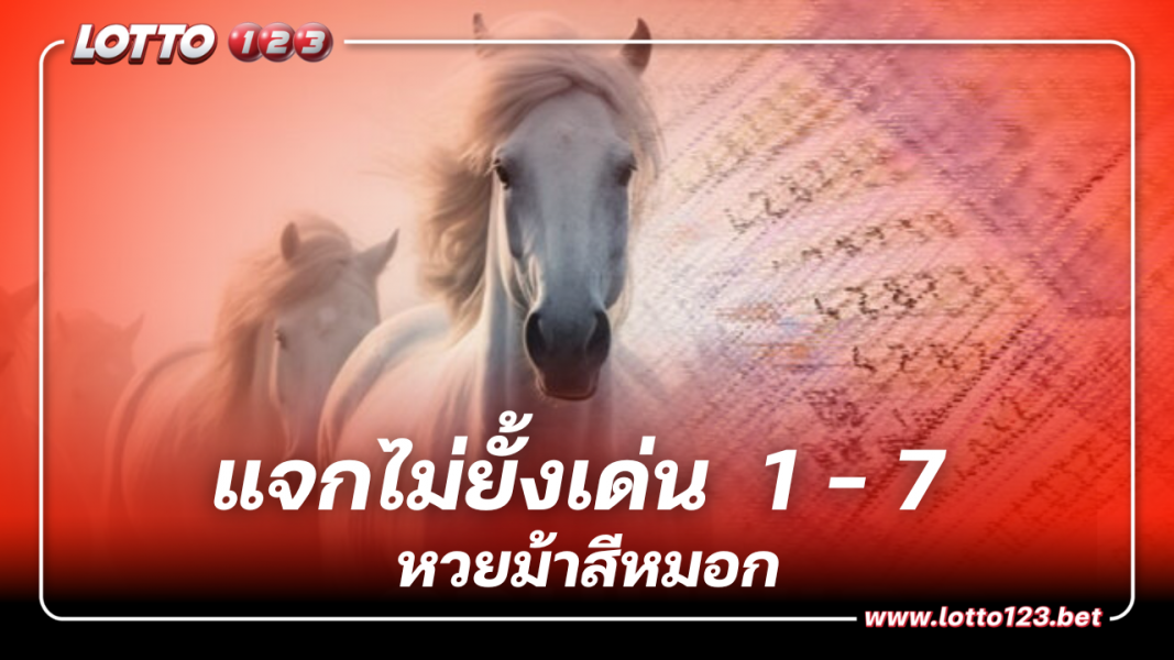 แจกไม่ยั้ง หวยม้าสีหมอกเด่น  1 – 7  เลขเด็ด 1 11 66