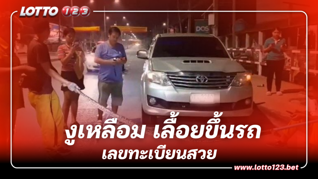 สูดหายใจแล้วไปต่อส่อง เลขเด็ด งูเหลือม เลื้อยขึ้นรถทะเบียนสวย