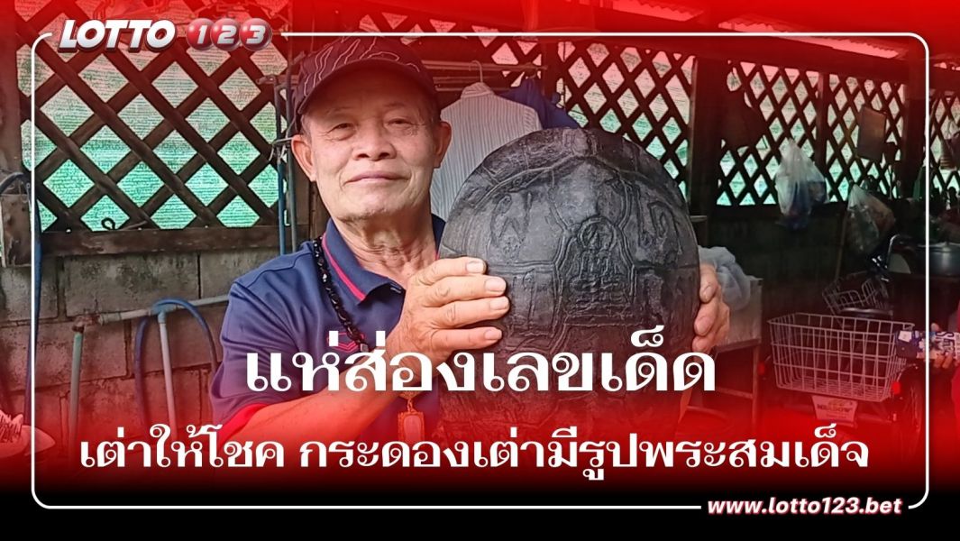 เต่าให้โชค กระดองเต่ามีรูปพระสมเด็จ ใต้ท้องเป็นรูปใบโพธิ์ แห่ส่องเลขเด็ด