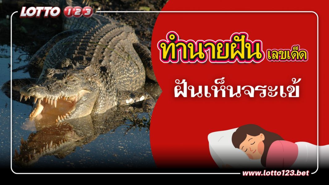 ฝันเห็นจระเข้ ตีความเลขเด็ด ทำนายฝัน ฝันนี้เป็นลางบอกเหตุใด