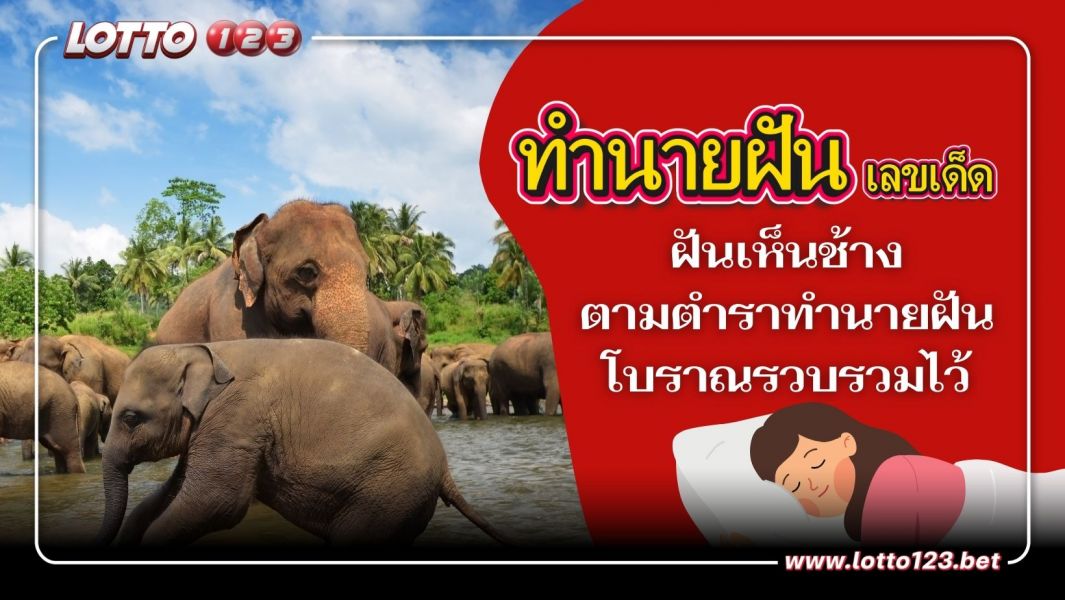 ฝันเห็นช้างตามตำราทำนายฝันโบราณรวบรวมไว้