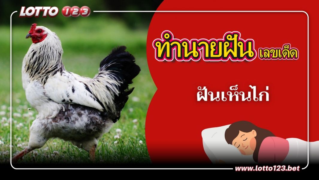 ฝันเห็นไก่ ทำนายฝัน พร้อมตีเลขเด็ด