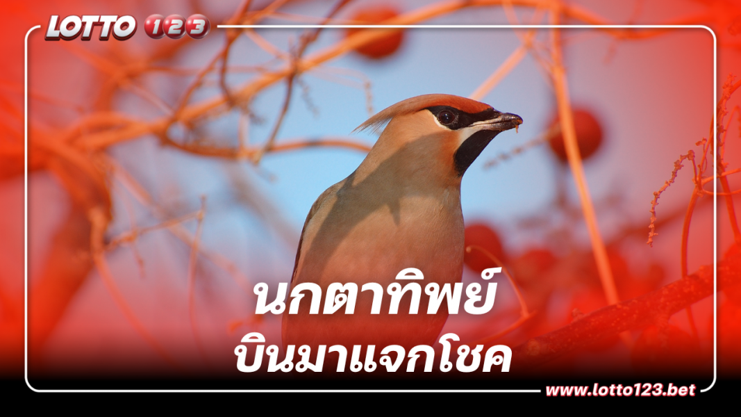แนวทางเลขเด็ด นกตาทิพย์ บินมาแจกโชคเลขท้าย 2 ตัวตรง 30 ธ.ค. 66