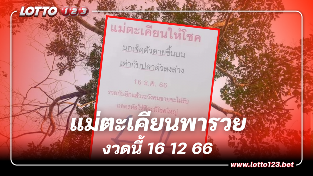 เลขเด็ด หวยแม่ตะเคียนทองให้โชค งวด 16 12 66 รับเงินล้าน