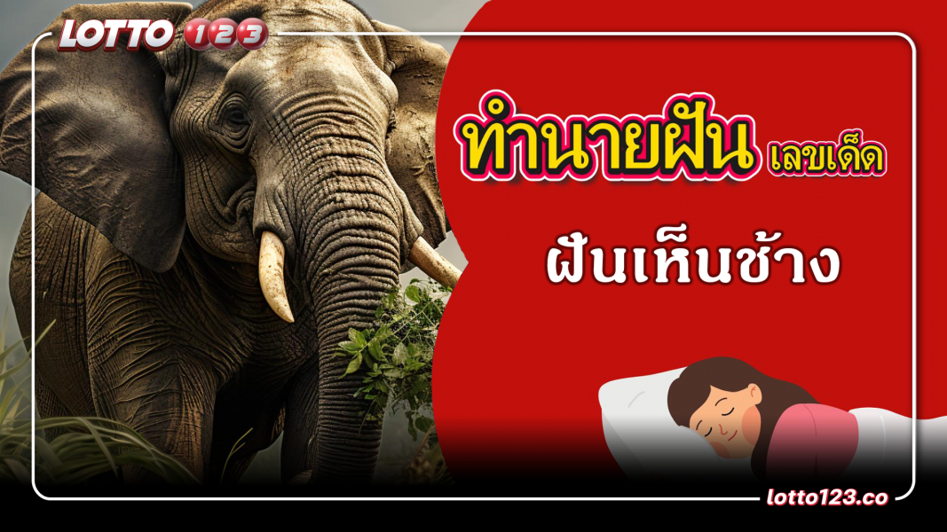 ฝันว่าเห็นช้าง ทำนายฝันเหตุการณ์ความฝันแบบนี้มีความหมายว่าอย่างไร? พร้อมเลขมงคลนำโชค