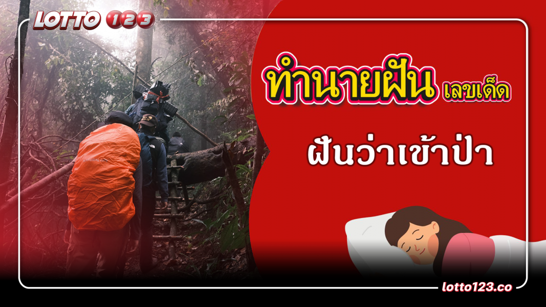 ฝันว่าเดินเข้าป่า ฝันว่าหลงป่า ทำนายฝันเหตุการณ์ความฝันแบบนี้มีความหมายว่าอย่างไร พร้อมเลขมงคลนำโชค