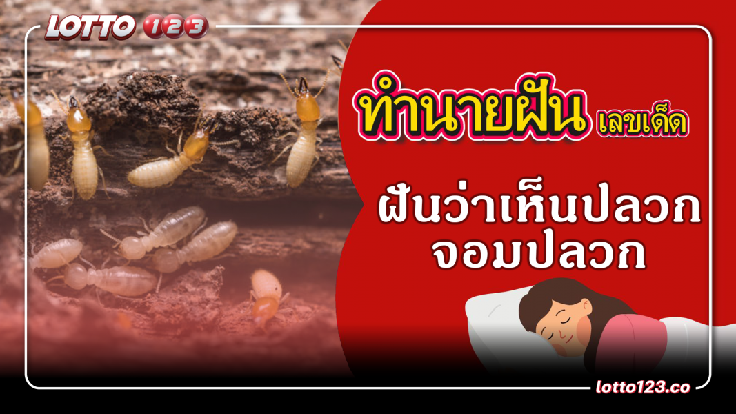 ฝันเห็นปลวก จอมปลวก ทำนายฝันเหตุการณ์ความฝันแบบนี้มีความหมายว่าอย่างไร? พร้อมเลขมงคลนำโชค