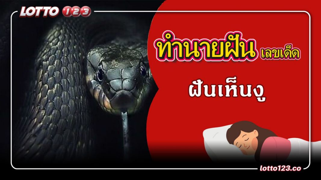 ฝันเห็นงู ทำนายฝันเหตุการณ์ความฝันแบบนี้มีความหมายว่าอย่างไร พร้อมเลขมงคลนำโชค