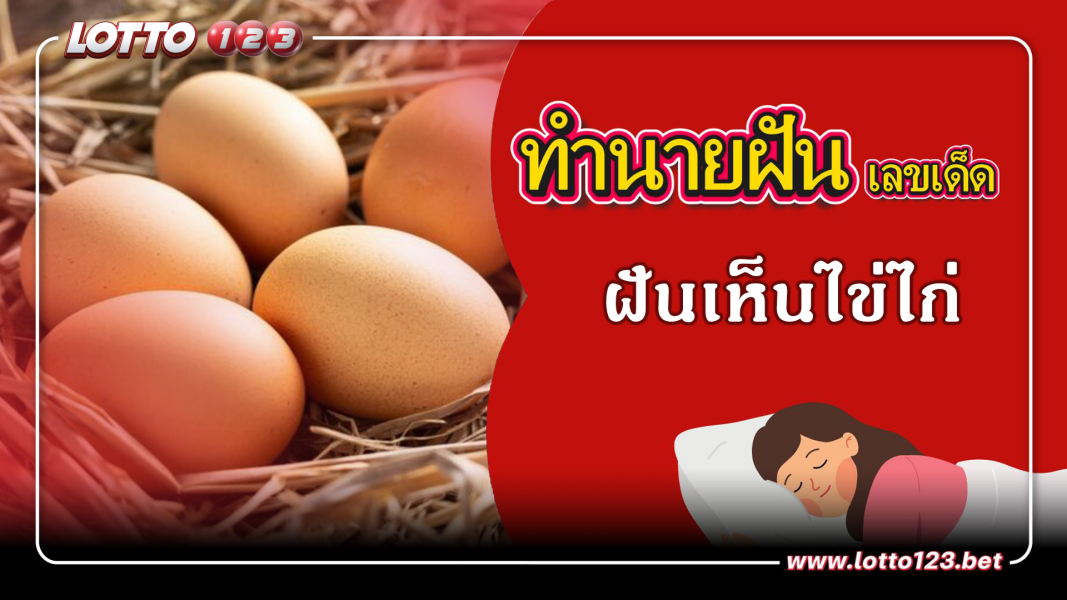 ฝันเห็นไข่ไก่ ทำนายฝันเหตุการณ์ความฝันแบบนี้มีความหมายว่าอย่างไร พร้อมเลขมงคลนำโชค