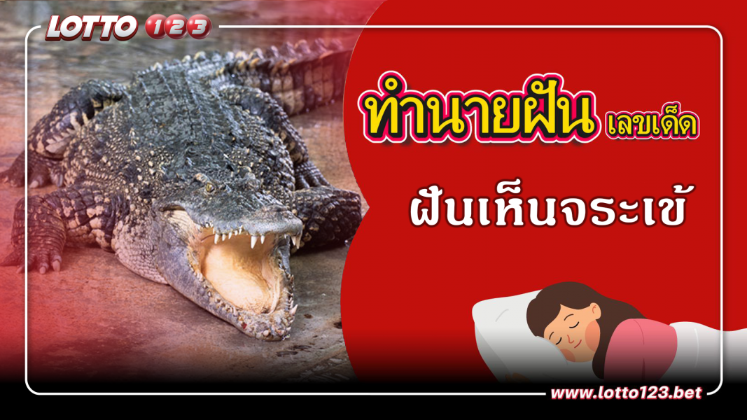 ฝันเห็นจระเข้ ทำนายฝันเหตุการณ์ความฝันแบบนี้มีความหมายว่าอย่างไร พร้อมเลขมงคลนำโชค