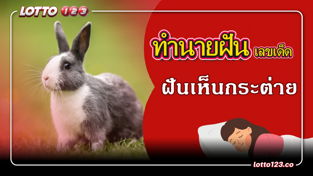 ฝันเห็นกระต่าย ทำนายฝันเหตุการณ์ความฝันแบบนี้มีความหมายว่าอย่างไร พร้อมเลขมงคลนำโชค