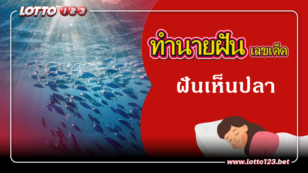 ฝันเห็นปลา ทำนายฝันเหตุการณ์ความฝันแบบนี้มีความหมายว่าอย่างไร พร้อมเลขมงคลนำโชค