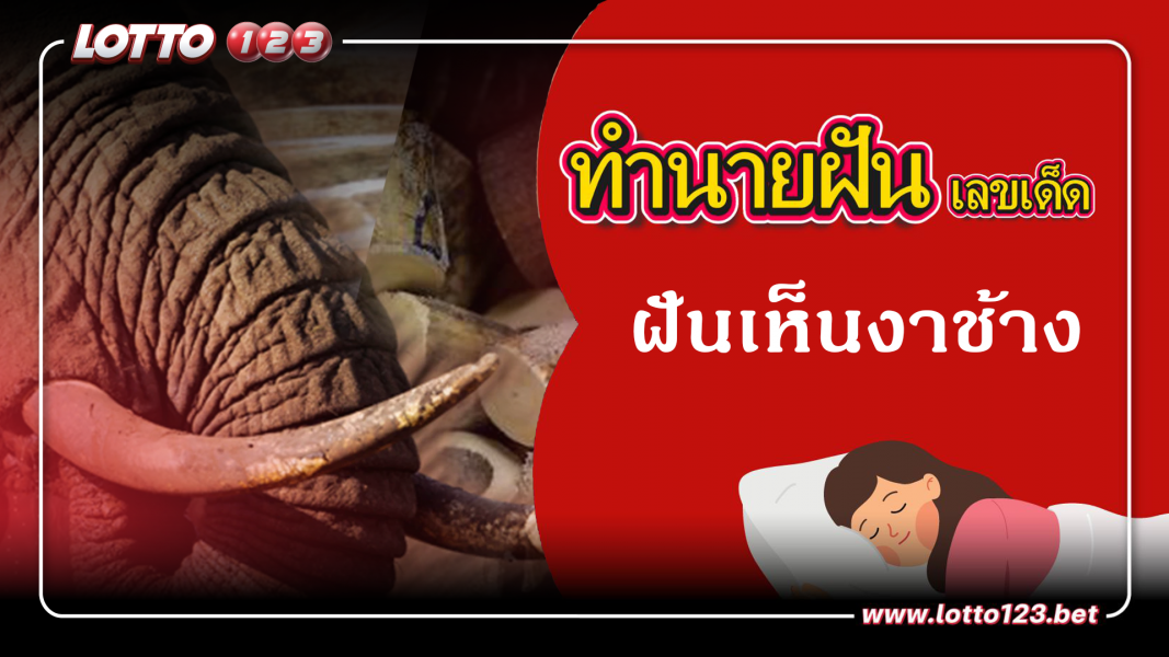 ฝันเห็นงาช้าง ทำนายฝันเหตุการณ์ความฝันแบบนี้มีความหมายว่าอย่างไร พร้อมเลขมงคลนำโชค