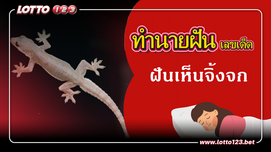 ฝันเห็นจิ้งจก ทำนายฝันเหตุการณ์ความฝันแบบนี้มีความหมายว่าอย่างไร พร้อมเลขมงคลนำโชค