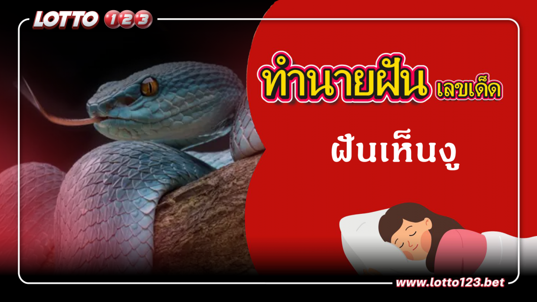 ฝันเห็นงู ทำนายฝันเหตุการณ์ความฝันแบบนี้มีความหมายว่าอย่างไร พร้อมเลขมงคลนำโชค