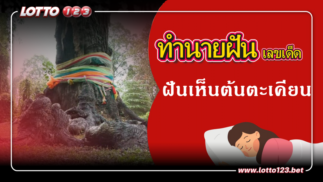 ฝันเห็นต้นตะเคียน ทำนายฝันเหตุการณ์ความฝันแบบนี้มีความหมายว่าอย่างไร พร้อมเลขมงคลนำโชค