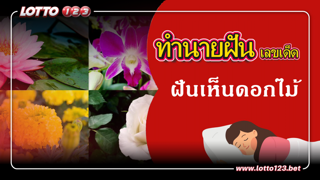 ฝันเห็นดอกไม้ ทำนายฝันเหตุการณ์ความฝันแบบนี้มีความหมายว่าอย่างไร พร้อมเลขมงคลนำโชค