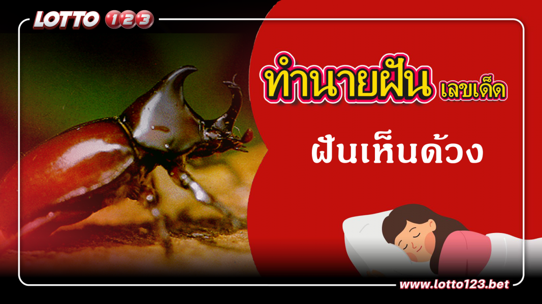 ฝันเห็นด้วง ทำนายฝันเหตุการณ์ความฝันแบบนี้มีความหมายว่าอย่างไร พร้อมเลขมงคลนำโชค