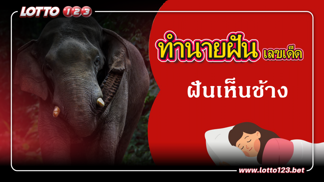 ฝันเห็นช้าง ทำนายฝันเหตุการณ์ความฝันแบบนี้มีความหมายว่าอย่างไร พร้อมเลขมงคลนำโชค