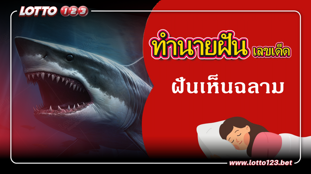 ฝันเห็นฉลาม ทำนายฝันเหตุการณ์ความฝันแบบนี้มีความหมายว่าอย่างไร พร้อมเลขมงคลนำโชค