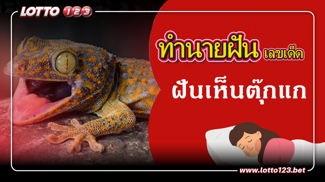 ฝันเห็นตุ๊กแก ทำนายฝันเหตุการณ์ความฝันแบบนี้มีความหมายว่าอย่างไร พร้อมเลขมงคลนำโชค
