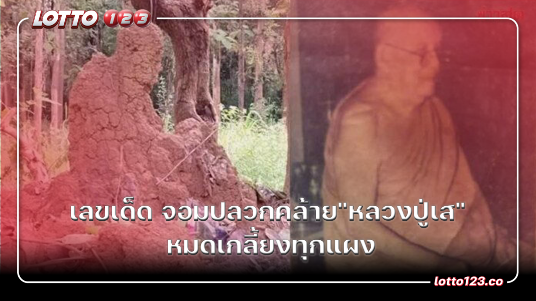 เลขเด็ด จอมปลวกคล้าย"หลวงปู่เส" หมดเกลี้ยงทุกแผง