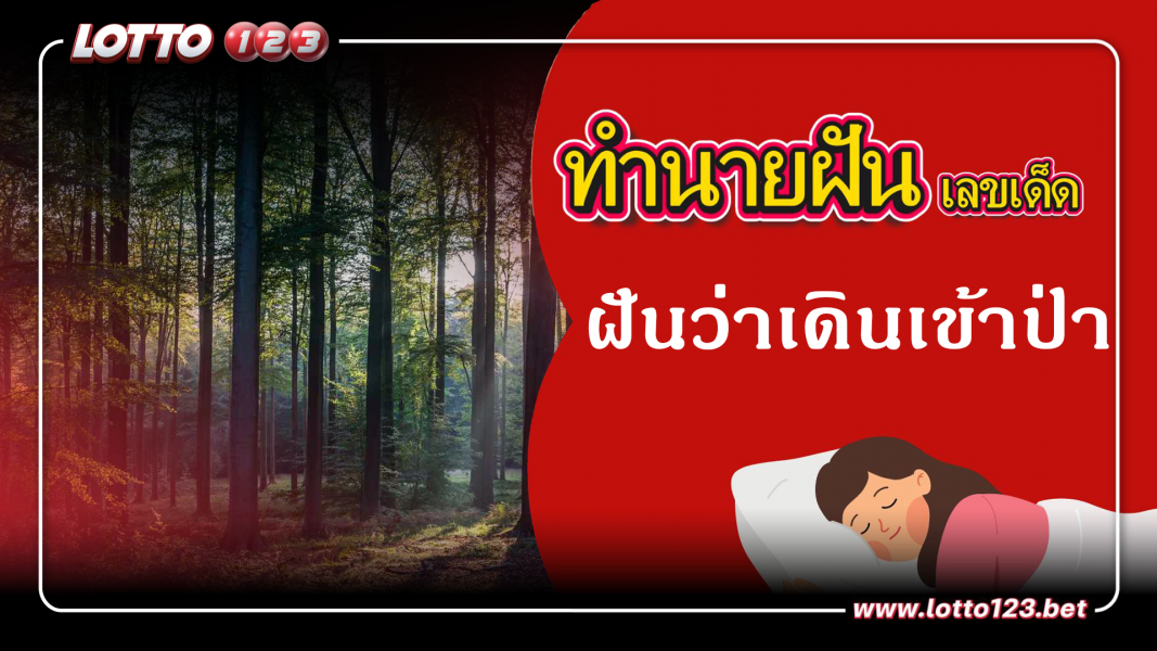 ทำนายฝันเลขเด็ด ฝันว่าเดินเข้าป่า