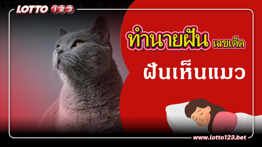 ฝันเห็นแมว ทำนายฝันเหตุการณ์ความฝันแบบนี้มีความหมายว่าอย่างไร พร้อมเลขมงคลนำโชค