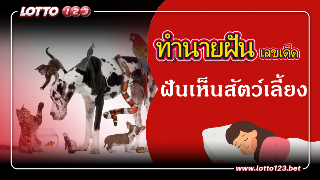 ทำนายฝันเลขเด็ด ฝันเห็นสัตว์เลี้ยง